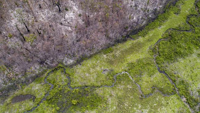 Green is again filling the island. Picture: Peter Meyer