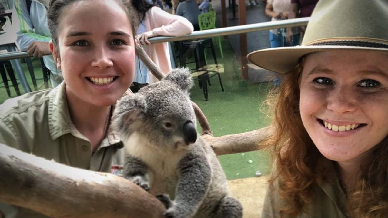 Wild Life Sydney Zoo has 81% female zookeepers: International Women’s ...