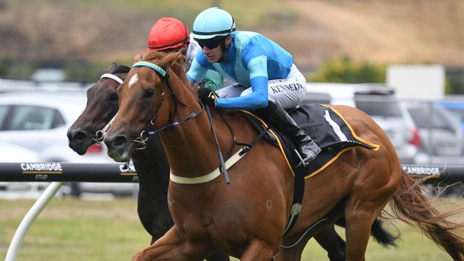 NZ sprinter Crocetti is set to tackle The Quokka next month. Picture: Kenton Wright/Race Images