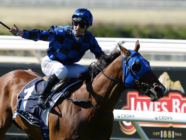 SPORT - Super Saturday, Ascot, Perth. Photo by Daniel Wilkins. PICTURED - Race 7, Buffering ridden by Damian Browne wins the Winterbottom Stakes