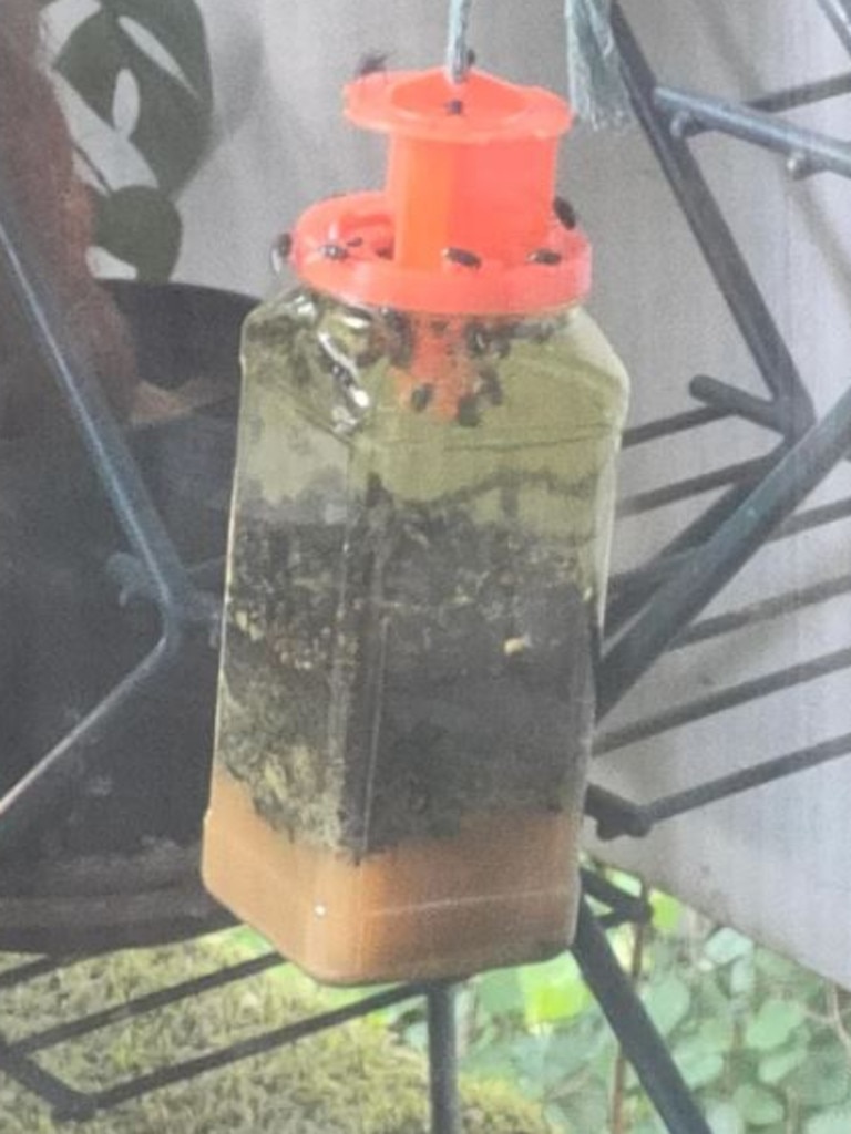 A Brisbane resident took to Reddit to ask if "this was a 'dead body near me' amount of flies" in their fly trap. Picture: Reddit/Odd-Organization8985.