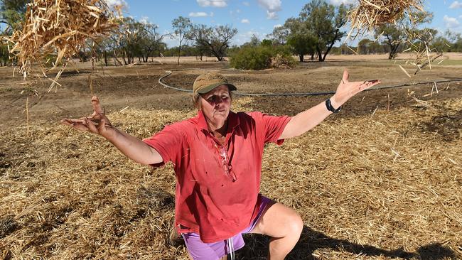 Debra Viney pictured at Janeville Station in 2016 when the family spoke with media about their struggle waiting for rain.