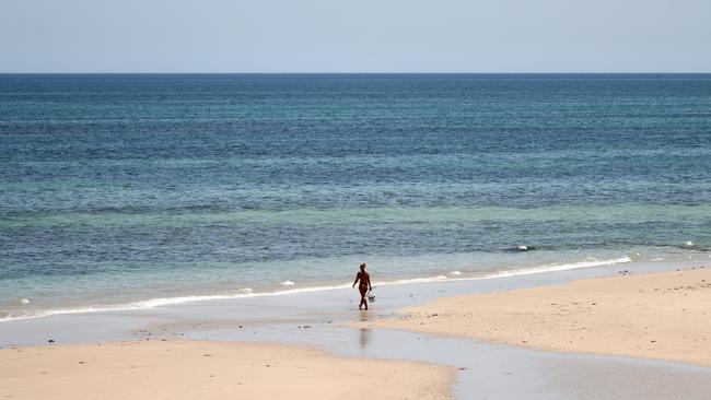 Adelaide recorded its highest temperature of 46.6C in January 2019, but within a decade it could be reaching 50C. Picture: AAP / Kelly Barnes