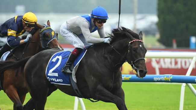 Angel Capital surges to victory in the Group 2 Autumn Stakes at Caulfield on Saturday. Picture: Vince Caligiuri/Getty Images