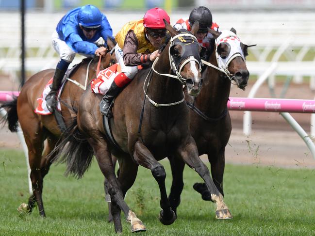 Jockey Michael Walker on Main Stage celebrates after winning race 3, the UCI Stakes, on Seppelt Turnbull Stakes Day at Flemington Racecourse in Melbourne, Saturday, October 7, 2017. (AAP Image/Mal Fairclough) NO ARCHIVING, EDITORIAL USE ONLY