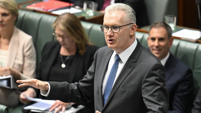 Home Affairs Minister Tony Burke banned DeepSeek from all government systems and devices after intelligence agencies advice. Picture: NewsWire/Martin Ollman