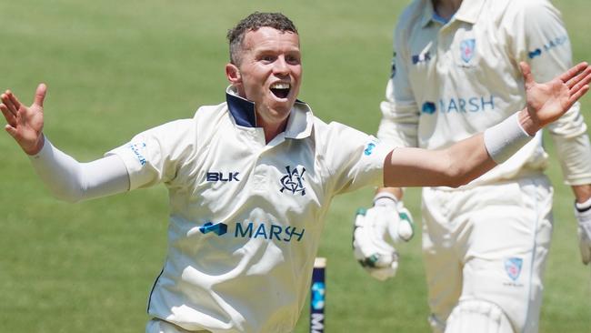 Peter Siddle has been a reliably excellent performer for years in Australian colours.