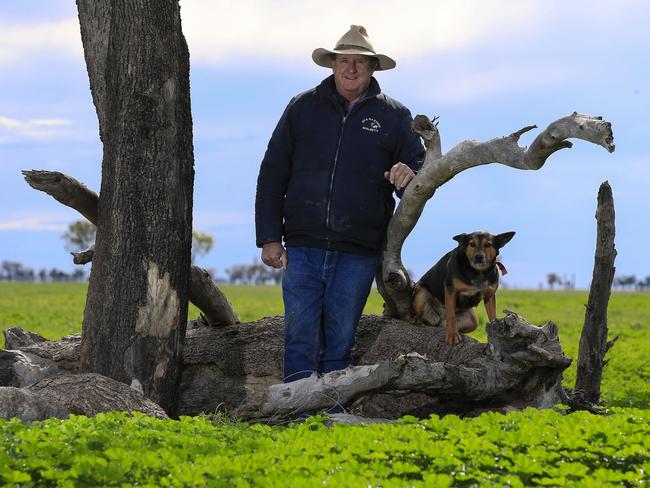 2016: Farmer Mark Evans enjoys the greenery along with canine mate Coco on his property 20km south of Walgett. Picture: Dylan Robinson