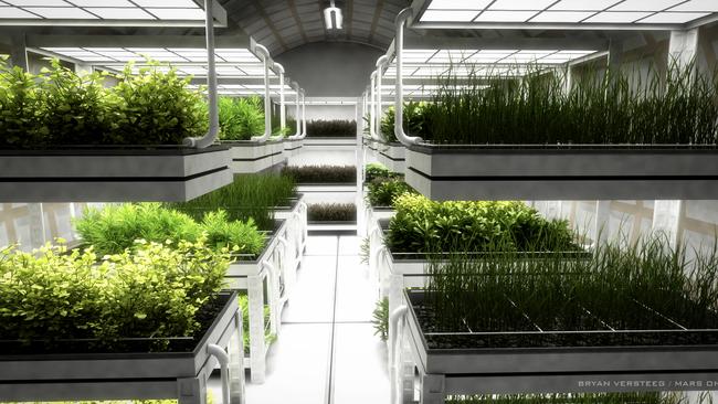 Images from the colony Mars One hopes to establish on the planet. This is how they envision we would grow our food.