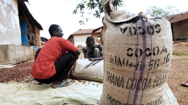 Local farmers gather dried cocoa beans to be weighed before selling them to merchants in a village outside of Kumasi, Ghana. Picture: Bloomberg