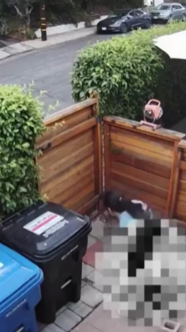 Amazon driver sacked after pooping on porches
