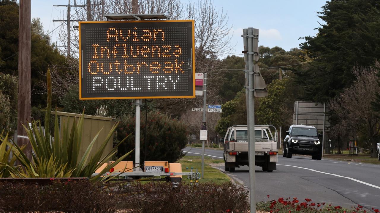 Avian influenza warning signs in Meredith's main street during the outbreak. Picture: Alison Wynd