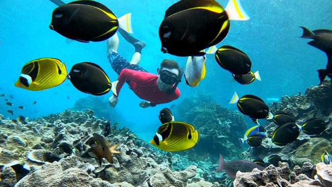 Snorkelling on Christmas Island. Picture: Chris Bray