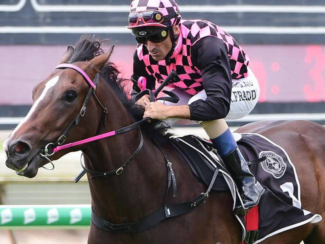 Superstar youngster Rothfire should continue his winning ways.