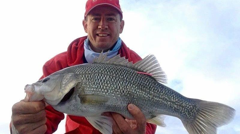 Australian bass back for another season The Courier Mail