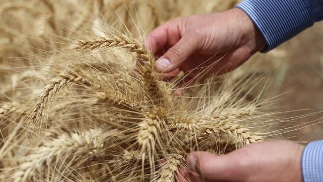 Elders launches new grain trade business with 20 per cent stake in ...