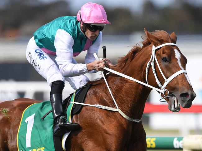 Jockey Hugh Bowman rides Finche in Race 7, the 365 Geelong Cup, during the Geelong Cup Day at Geelong racecourse in Melbourne, Wednesday, October 24, 2018. (AAP Image/Julian Smith) NO ARCHIVING, EDITORIAL USE ONLY