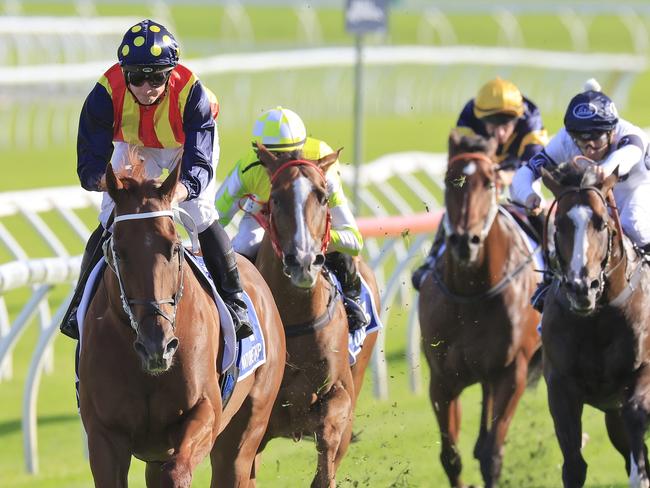 SYDNEY, AUSTRALIA - APRIL 02: James McDonald on Nature Strip wins race 8 the Furphy TJ Smith Stakes during The Star Championships Day 1 at Royal Randwick Racecourse on April 02, 2022 in Sydney, Australia. (Photo by Mark Evans/Getty Images)