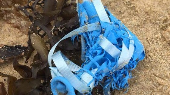 A balloon with plastic ties washed up on Boambee Beach.