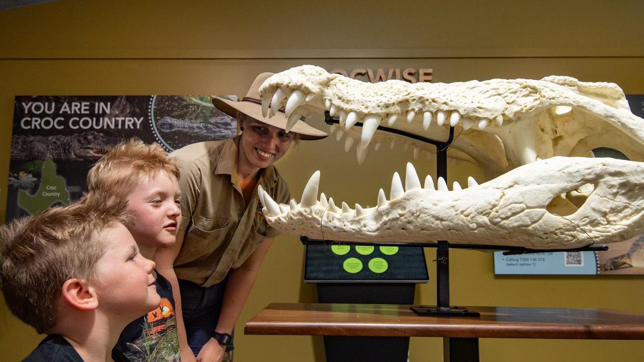 First-look at new crocodile exhibition