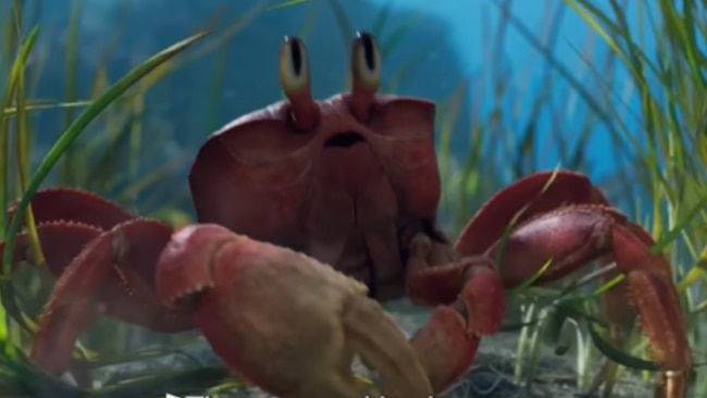 Sebastian is awkward looking in the new film. Source: Disney.