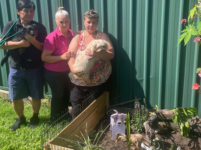 Norio and Gail Matsumoto were walking Karen's dogs when a pitbull attacked one of them.