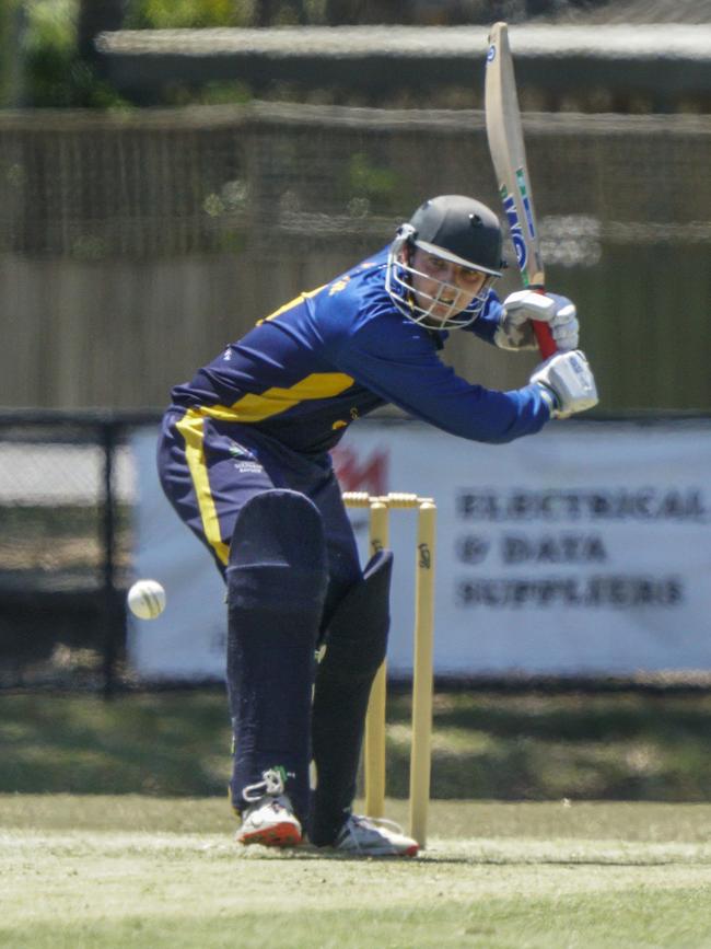 Flynn McGaw batting for Dingley. Picture: Valeriu Campan