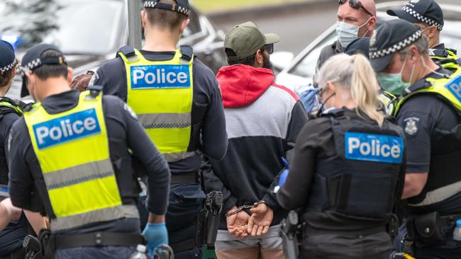 Two people are arrested at Treasury Gardens. Picture: Tony Gough