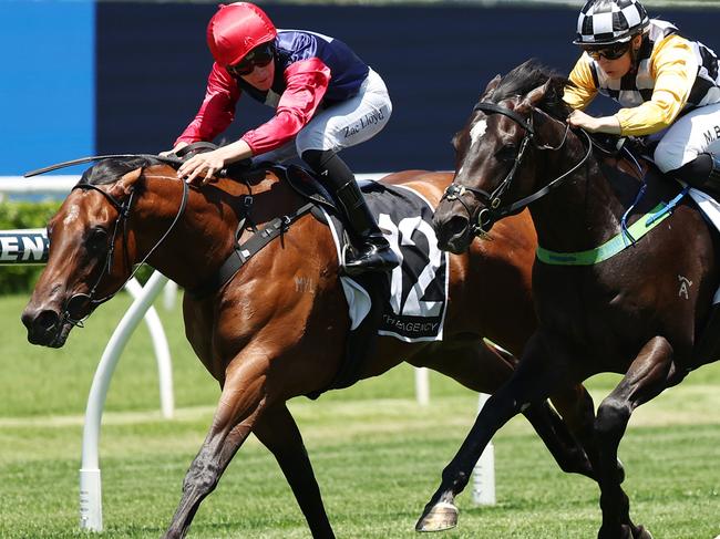 SYDNEY, AUSTRALIA - JANUARY 25: Zac Lloyd riding Open Secret   win Race 1 The Agency Real Estate Handicap during Sydney Racing at Royal Randwick Racecourse on January 25, 2025 in Sydney, Australia. (Photo by Jeremy Ng/Getty Images)