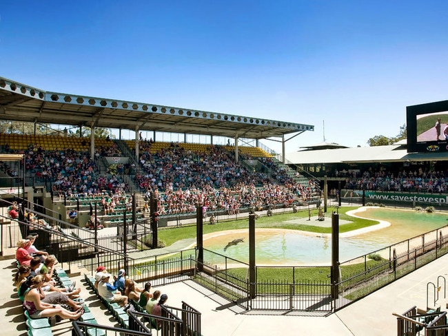 Diving at the Crocoseum? We’d like to see that.