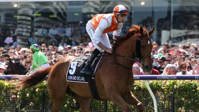 Vow And Declare, ridden by Billy Egan, on the way to the barriers for the 2023 Melbourne Cup. Picture: George Sal/Racing Photos via Getty Images