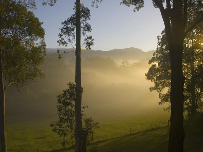 Morning sun shines through the trees in the Promised Land, Bellingen, NSW, Australia Source: Getty Images