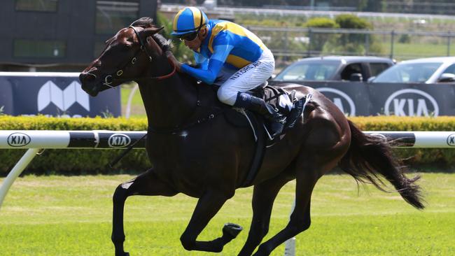 Kiss The Bride turned in an eye-catching run in the Rosehill Gold Cup last start. Picture: Grant Guy