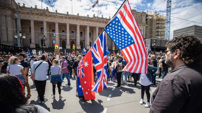 A variety of flags were waved at the protest. Picture: Jason Edwards