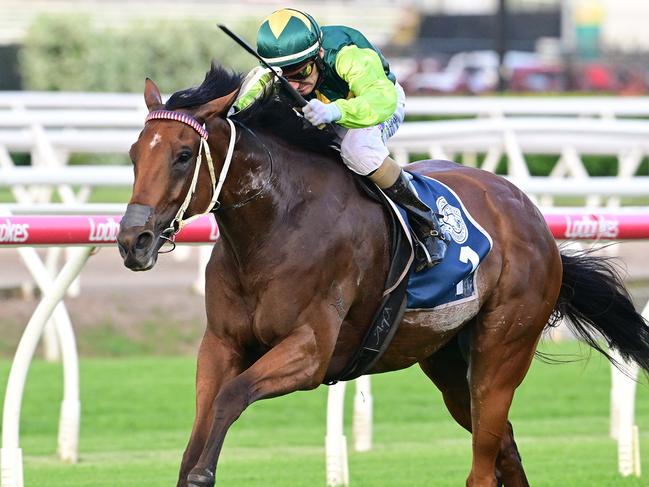 Yellow Brick wins in dominant style at Eagle Farm for trainers Tony and Maddy Sears and jockey Andrew Mallyon. Picture: Grant Peters, Trackside Photography.