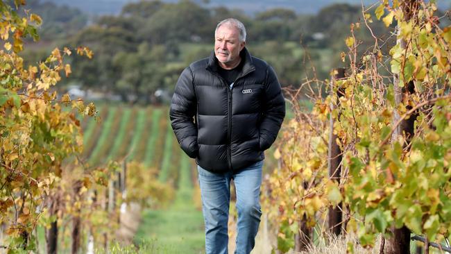 Warren Randall in one of his McLaren Vale vineyards. Picture: Dean Martin