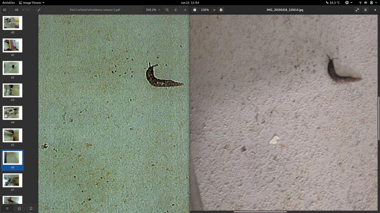 A photo showing a slug found in the iCook Foods (left) facility in Dandenong that was sent to owners, compared to the original photo (right) taken during a health inspection.