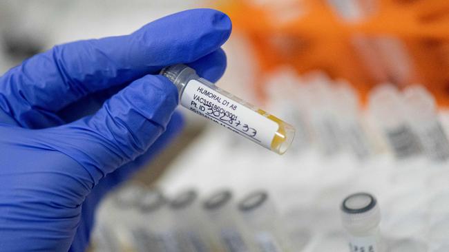 A health worker sorts blood samples for a COVID-19 vaccination study at the Center for Pediatrics Infectology Studies. Picture: AFP