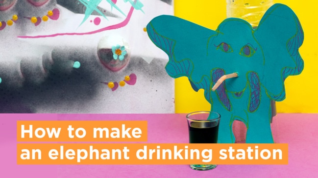 How to make an elephant drinking station