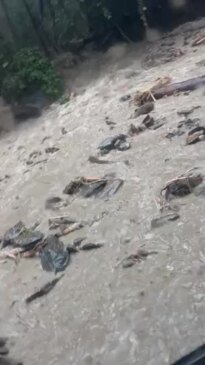 Footage inside a car trapped by a raging landslide