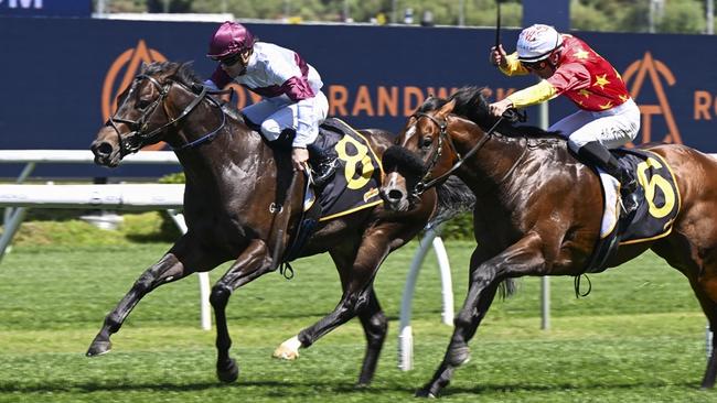 Amazing Eagle could be saved for next week's Liusted Gosford Guineas. Picture: Bradley Photos