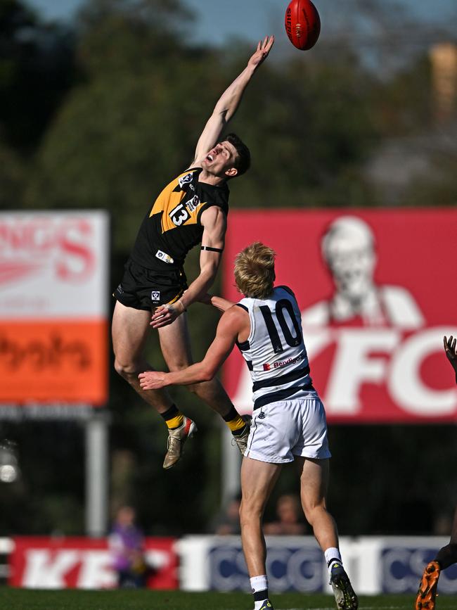 VFL: Werribee’s Keegan Gray stretches over Mitch Knevitt of Geelong. Picture: Andy Brownbill