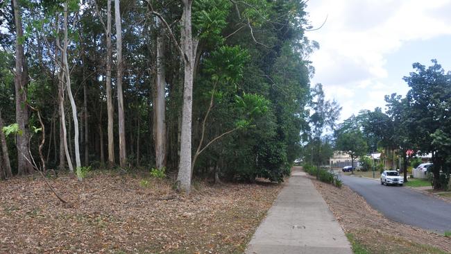 Amazon Cl in Mount Sheridan before proposed tree clearing.