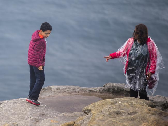 Tourists have been seen getting dangerously close to popular cliff edges across Sydney. Picture: Jenny Evans