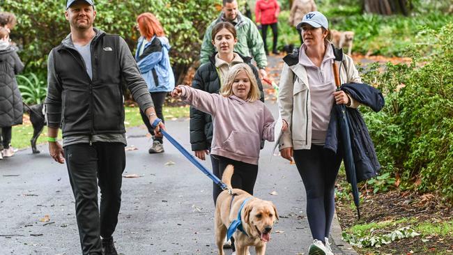 Million Paws Walk at Adelaide Botanic Gardens. Picture: Brenton Edwards