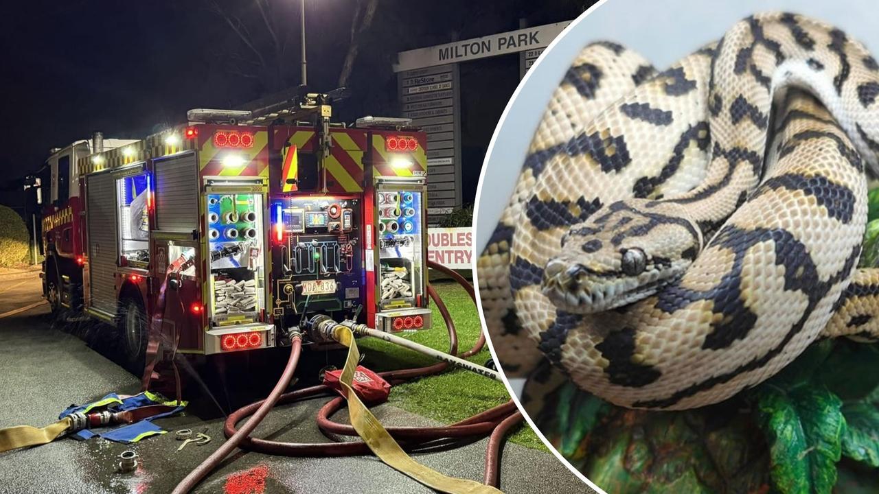 The warehouse contained more than 500 snakes and other reptiles.