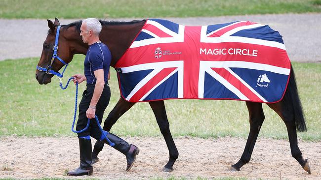 Magic Circle walks laps during a Werribee trackwork session. Picture: Getty Images