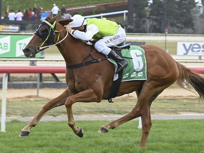 Race 7 - Canberra, 12/03/2023, Winner-Another One