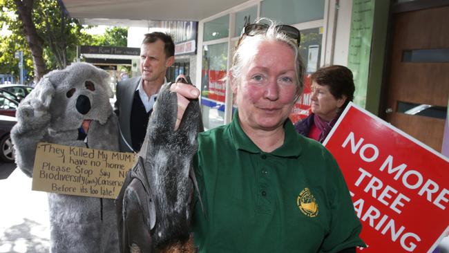 Trees of Bateau Bay group members Pamela de Lacy (in koala suit), Jessi Grace and Barbara Gorman meet with David Mehan. Picture: Mark Scott