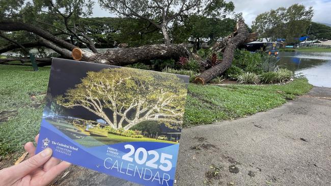 The 200-year-old raintree was an icon of the school.